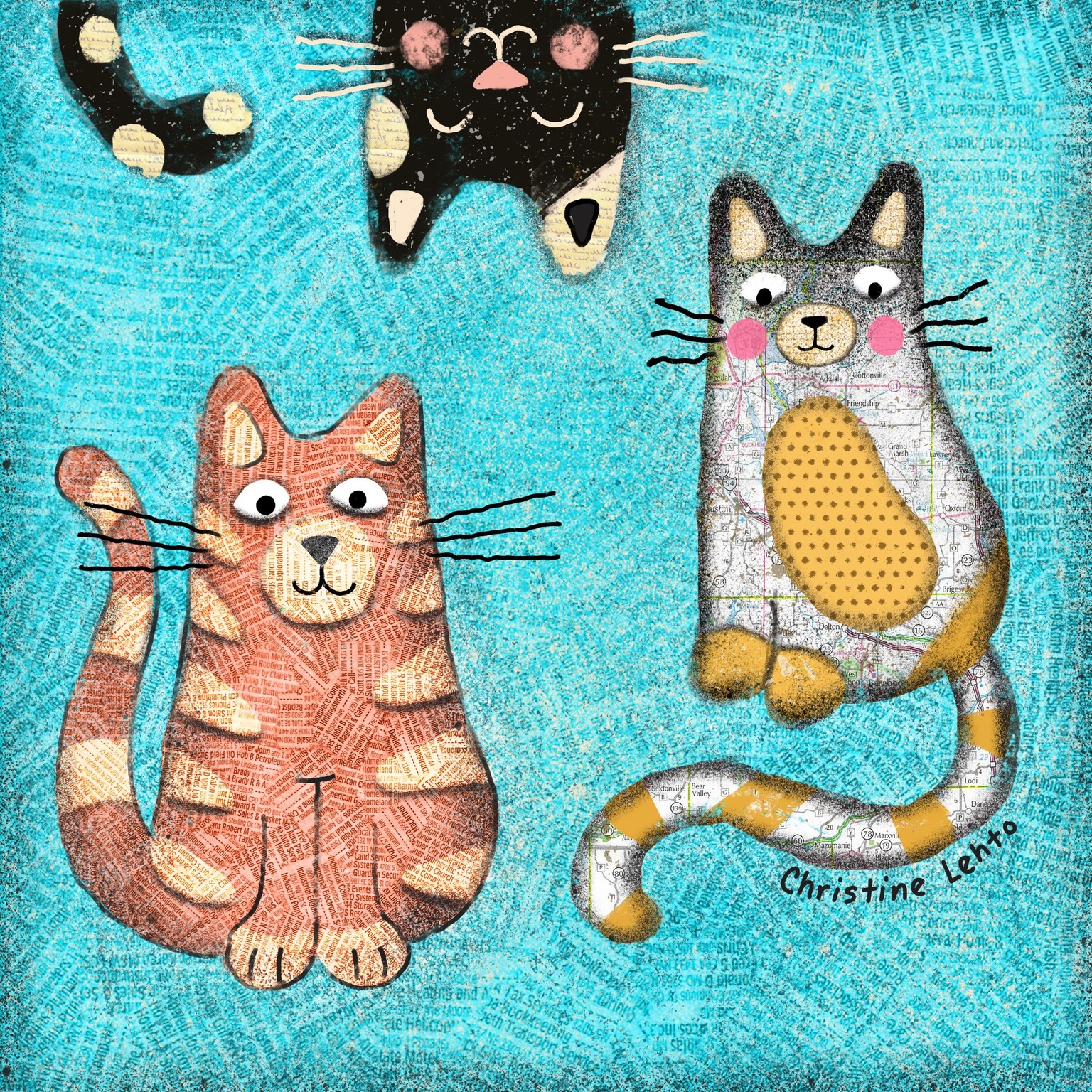 Three kitty collage - image 1 - student project