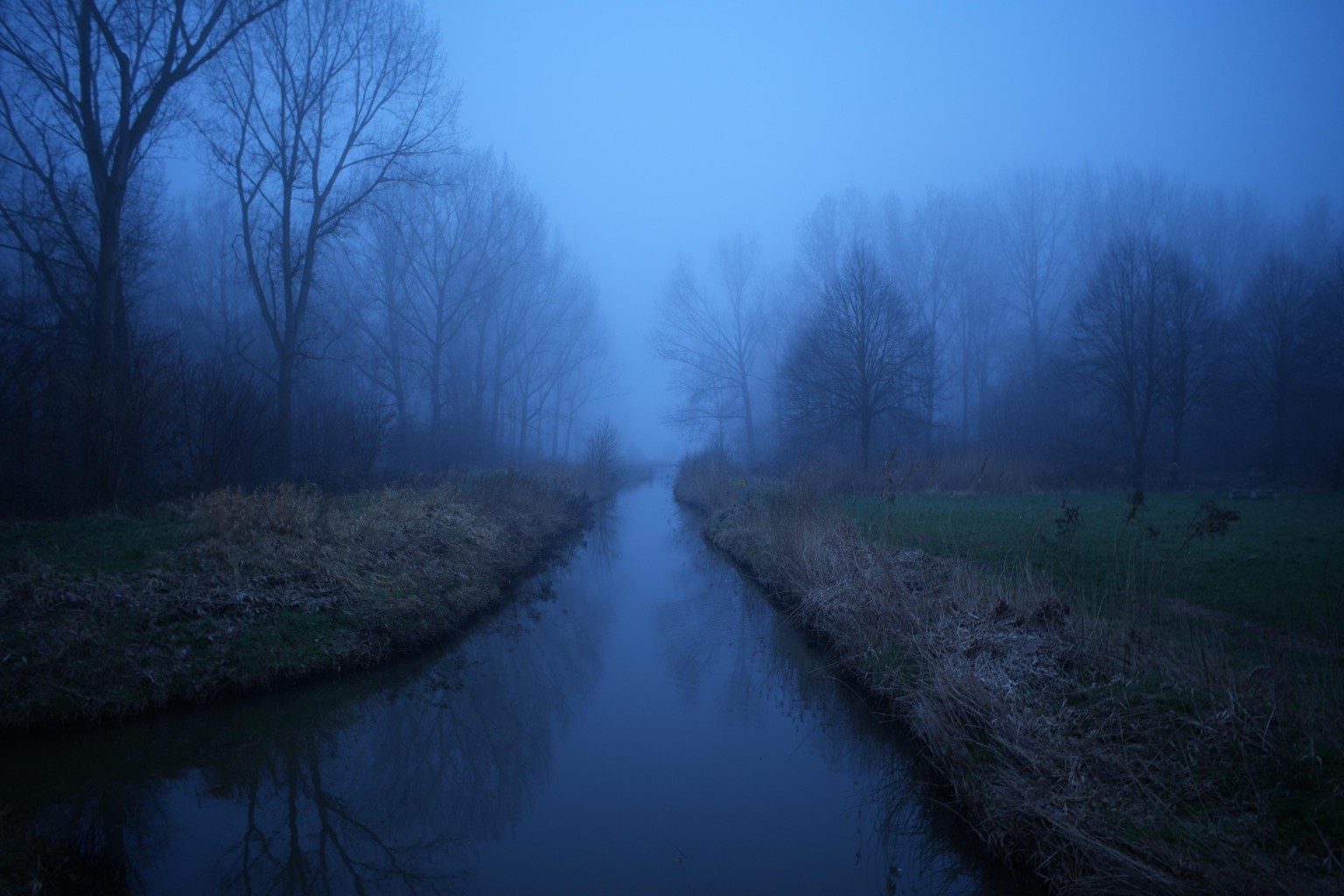 Morning walk - image 1 - student project