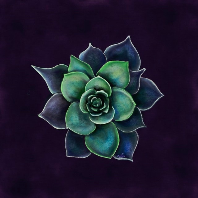 My pastel succulent - image 1 - student project