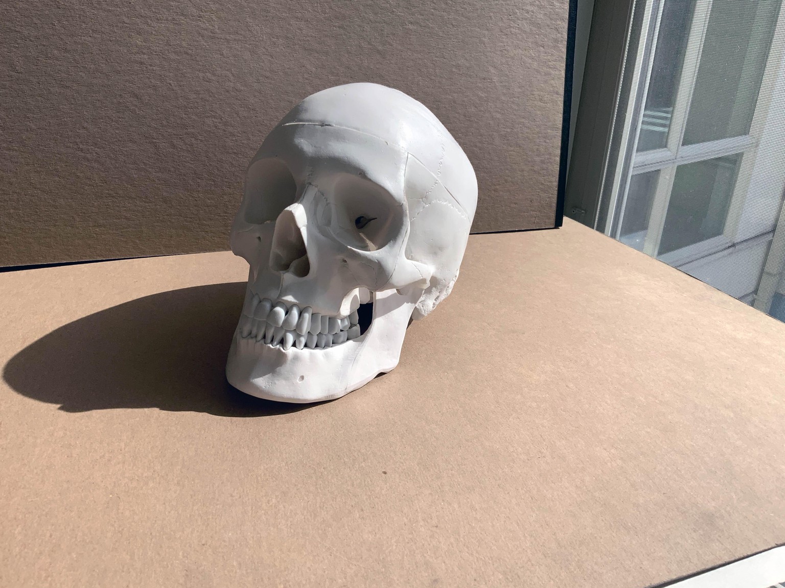 4 Skulls - image 1 - student project