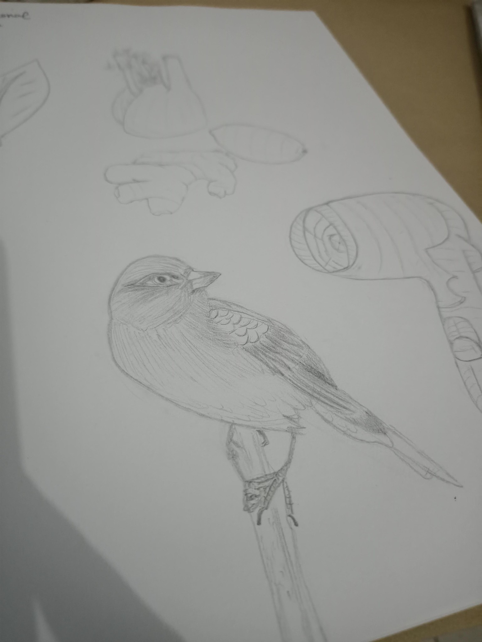 Sketching Fundamental - image 3 - student project