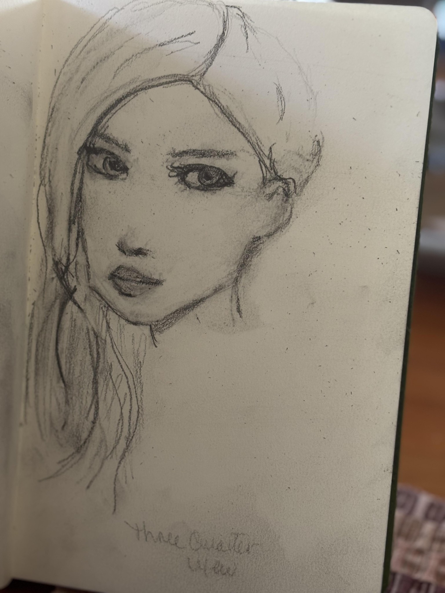 Semi Realism face sketch - image 1 - student project