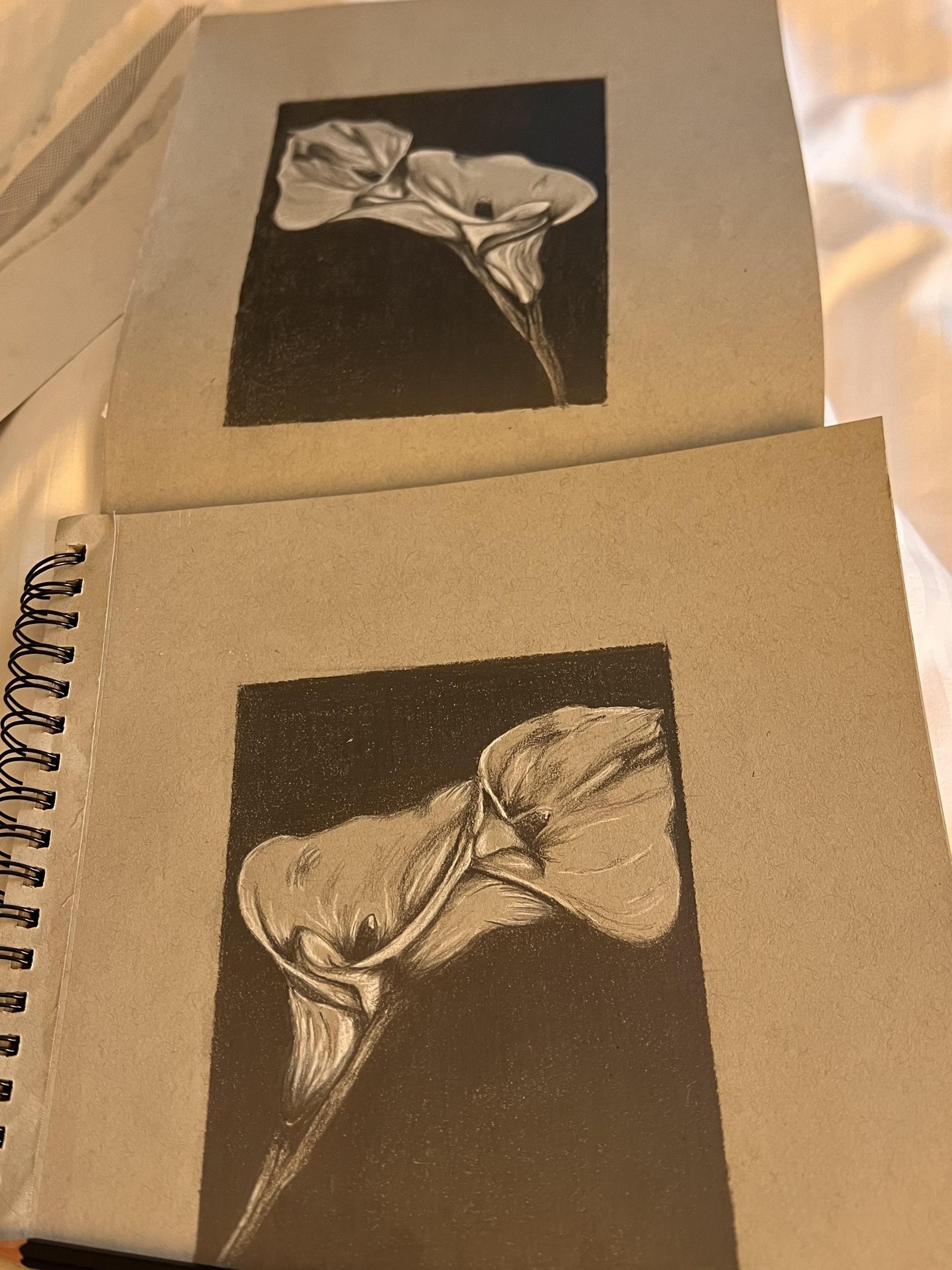 1st attempt and 2nd attempt was a present to my mom - image 1 - student project