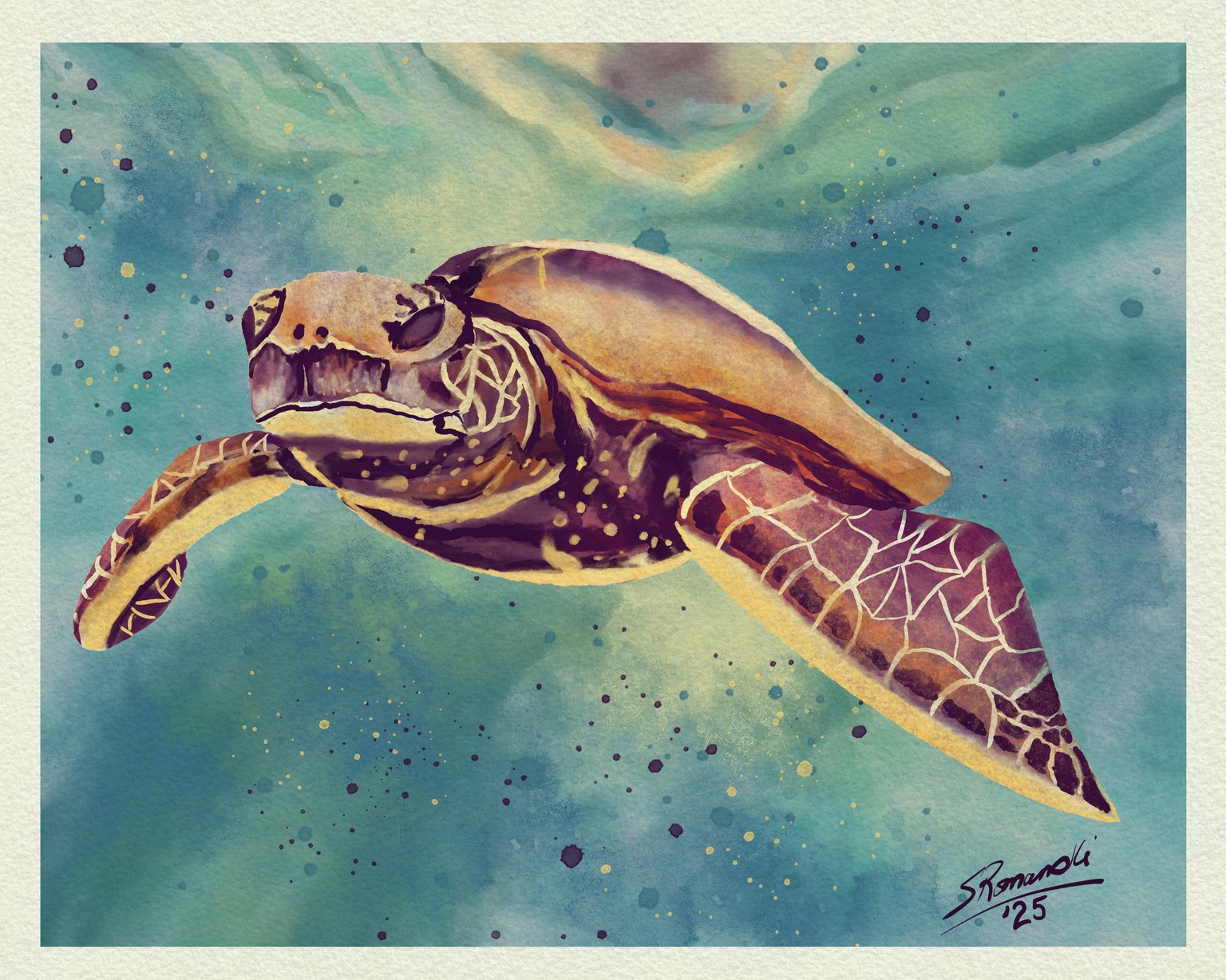 chickadee & turtle - image 1 - student project