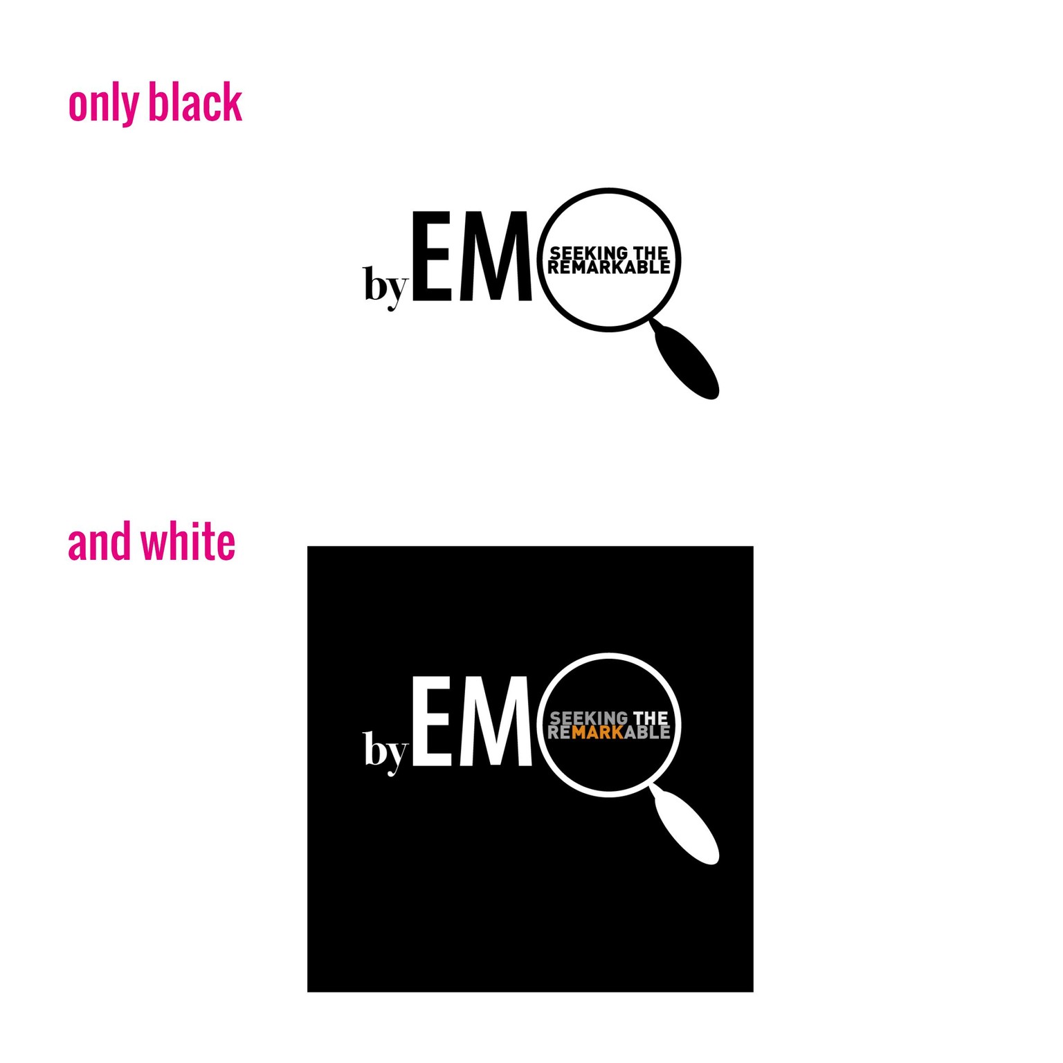 byEM seeking the remarkable - superhero logo design - image 6 - student project