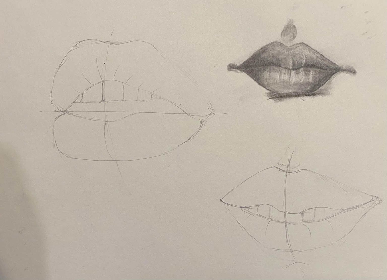 Nose, lips, face - image 3 - student project