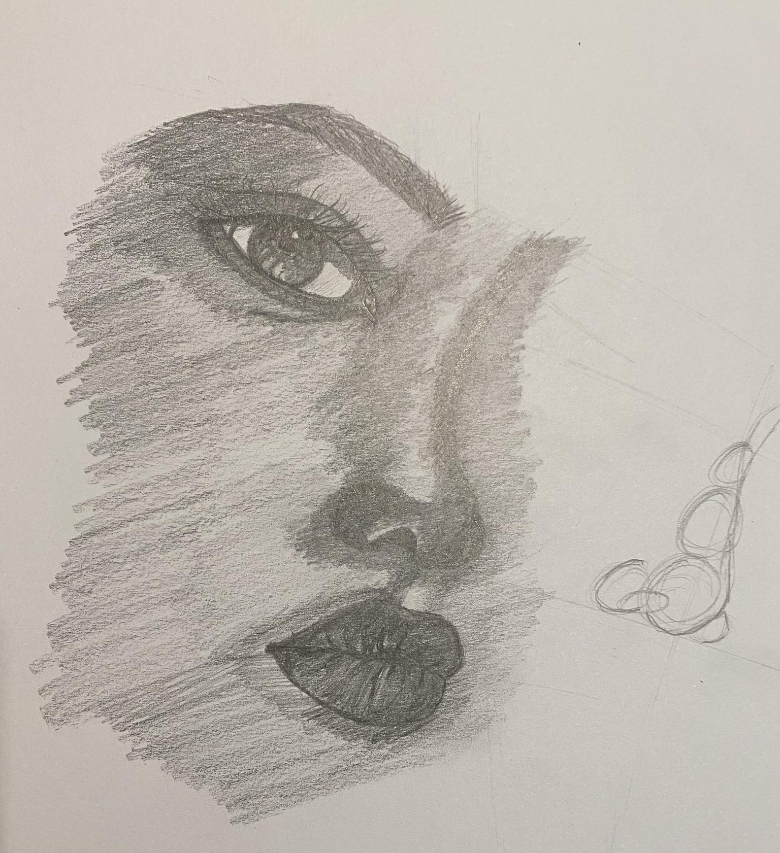 Nose, lips, face - image 6 - student project
