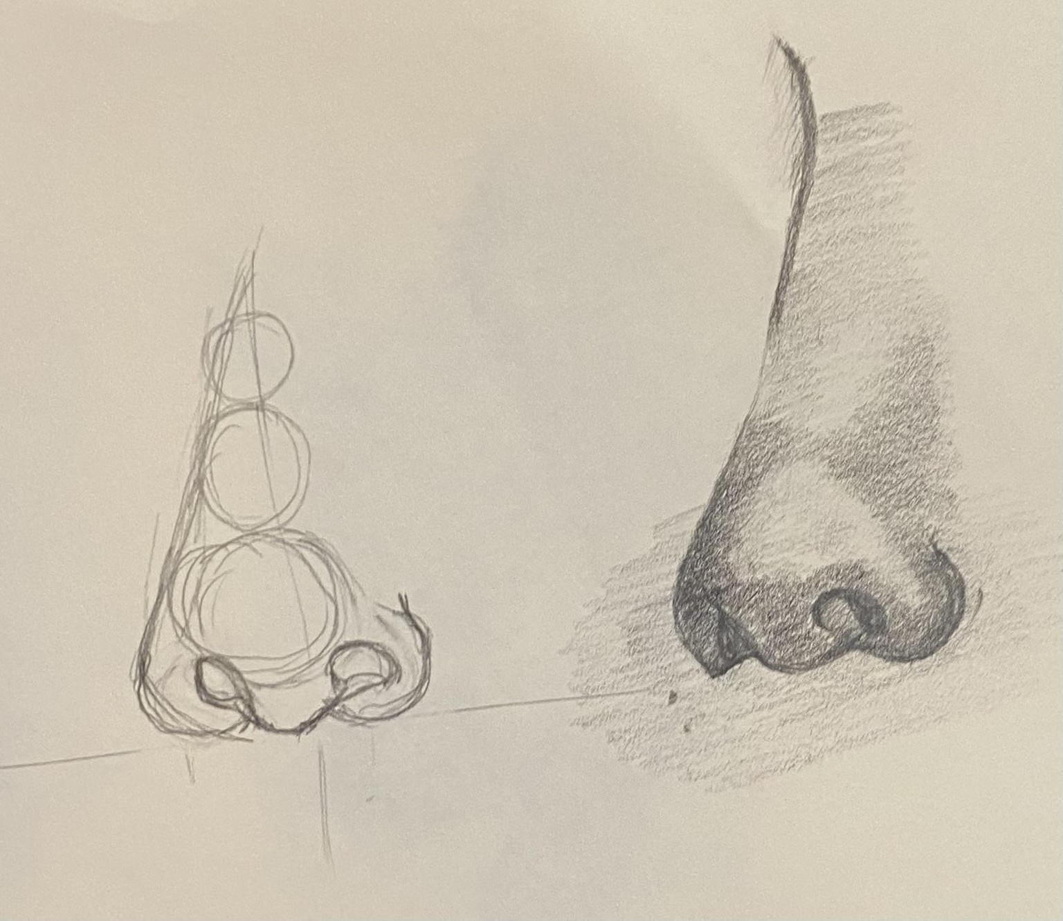 Nose, lips, face - image 2 - student project