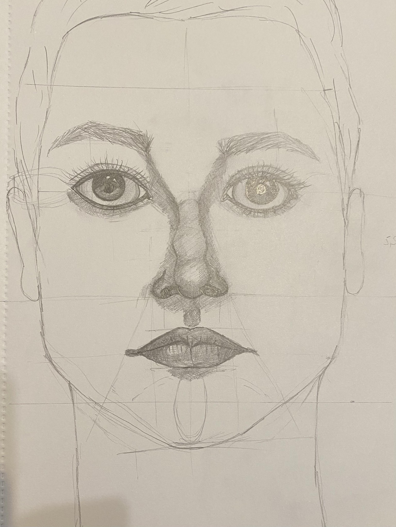 Nose, lips, face - image 4 - student project