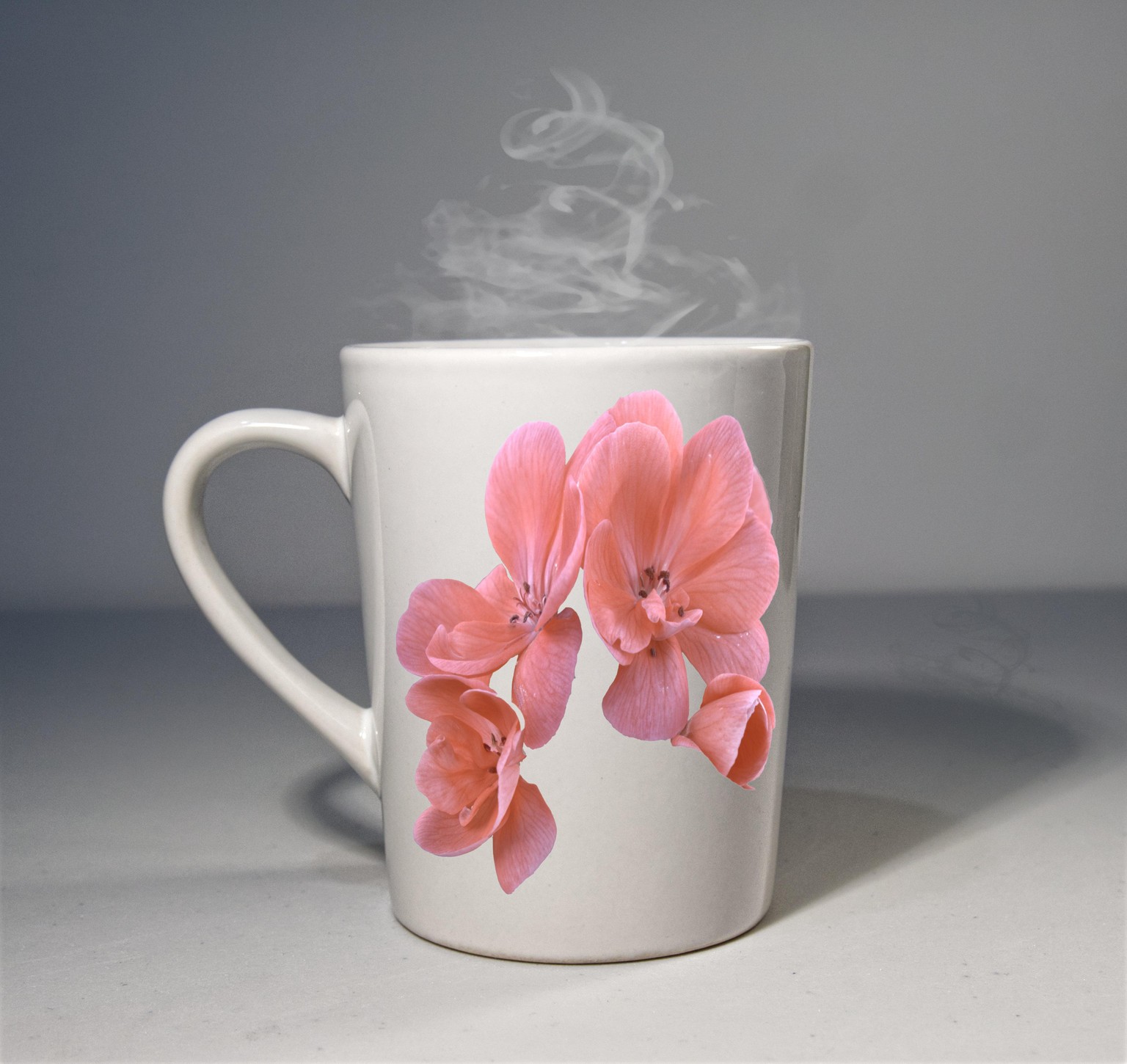 Mock-Up Projects - image 1 - student project