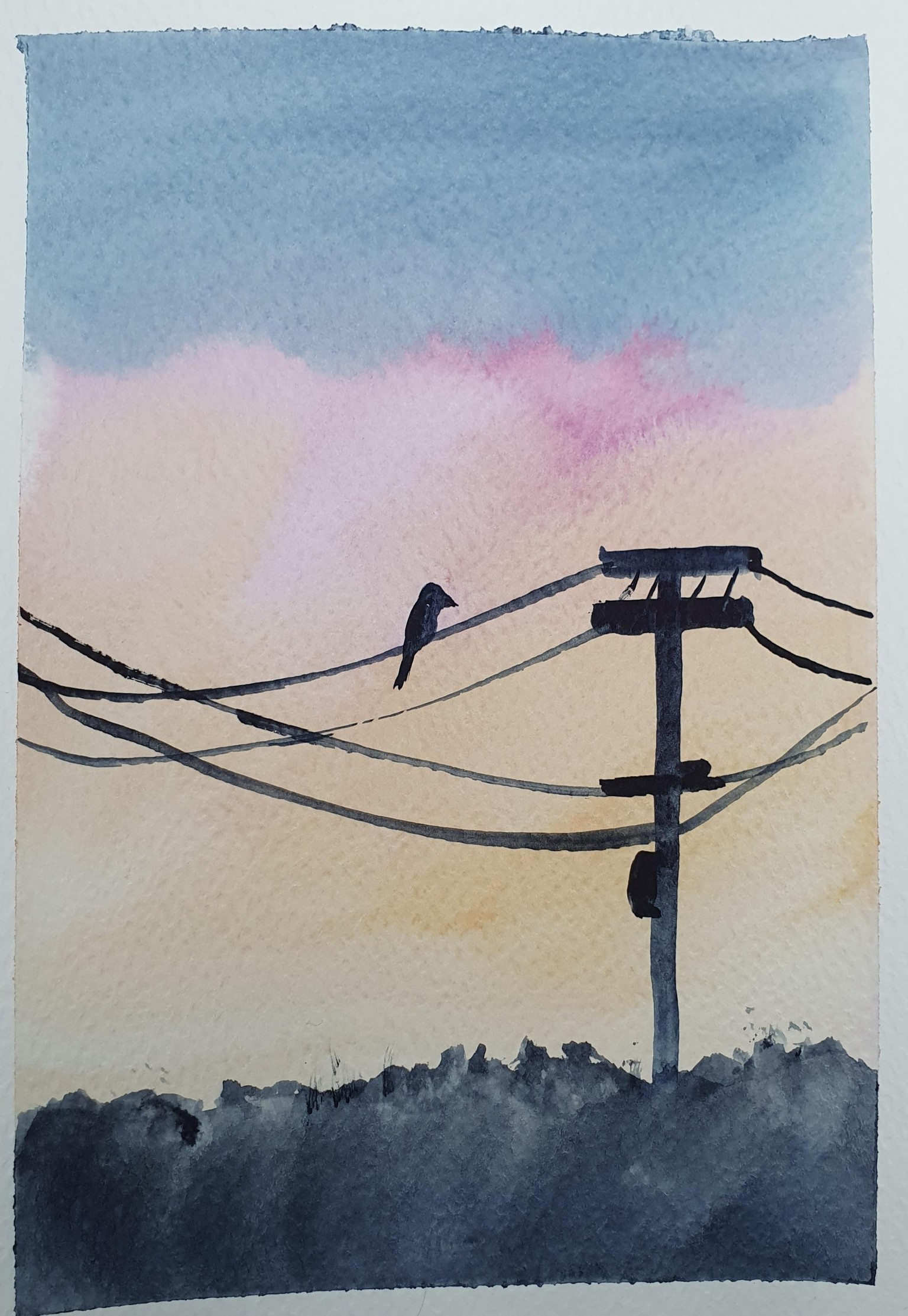 evening sky - image 2 - student project