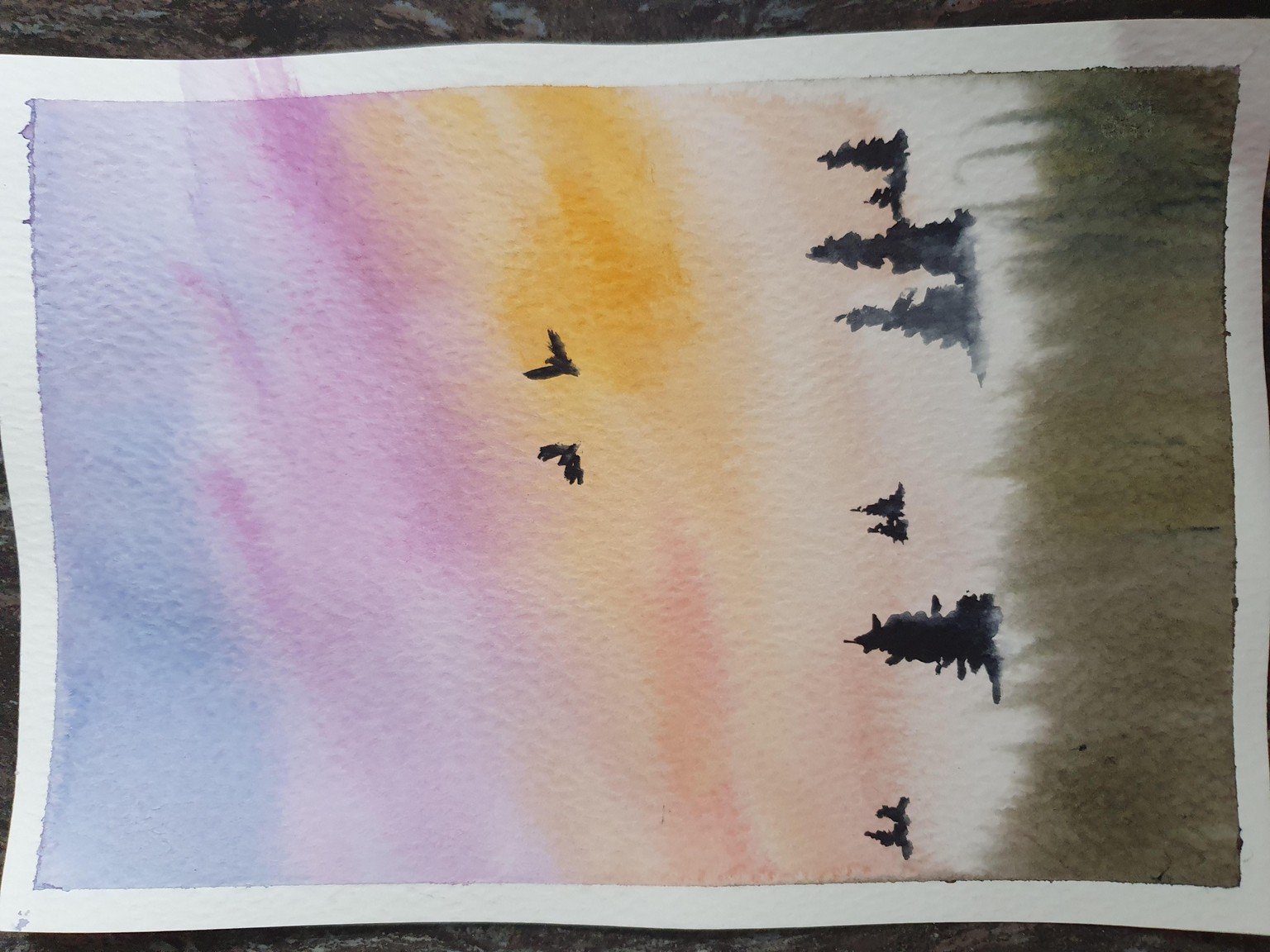 evening sky - image 1 - student project