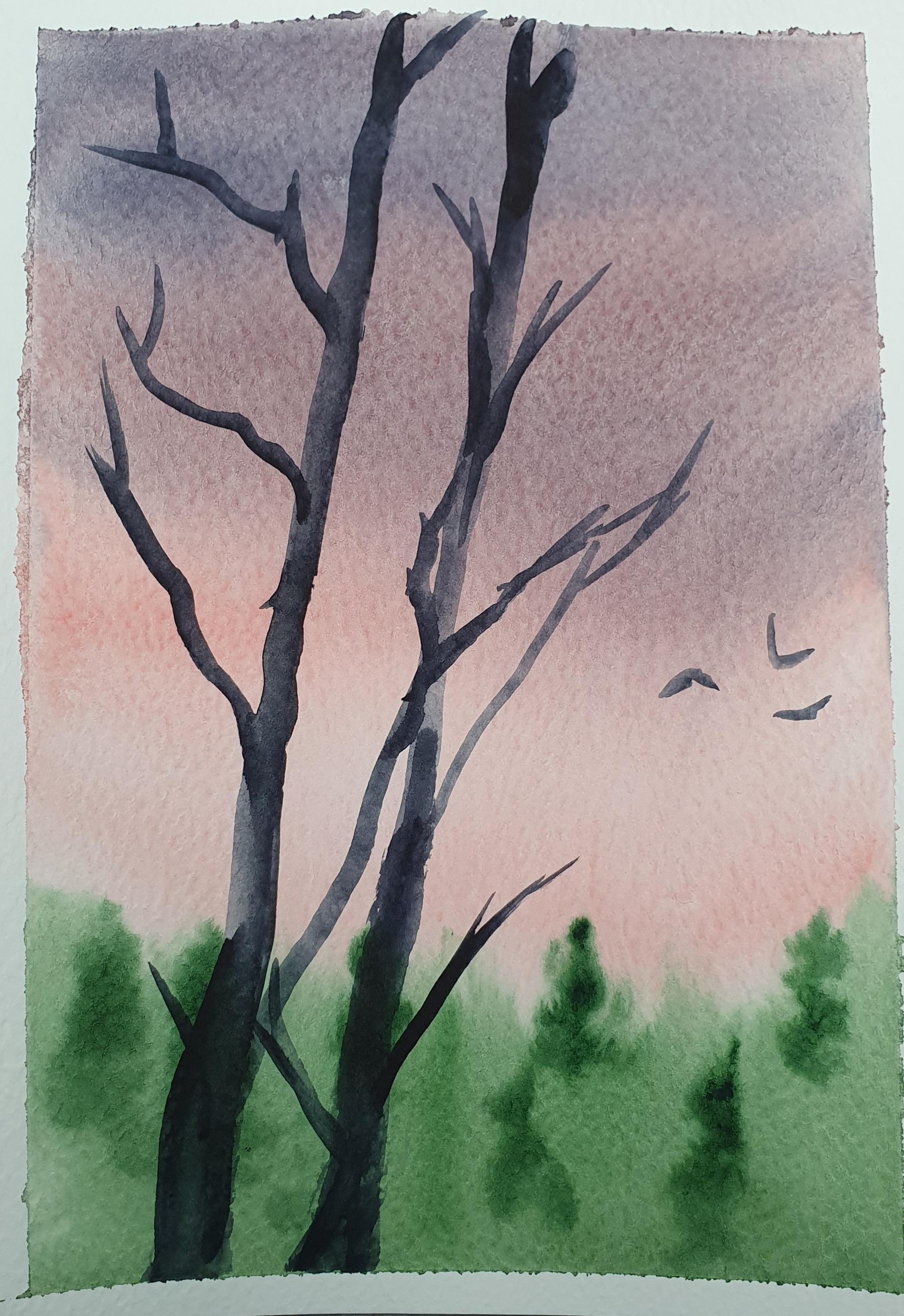 evening sky - image 3 - student project