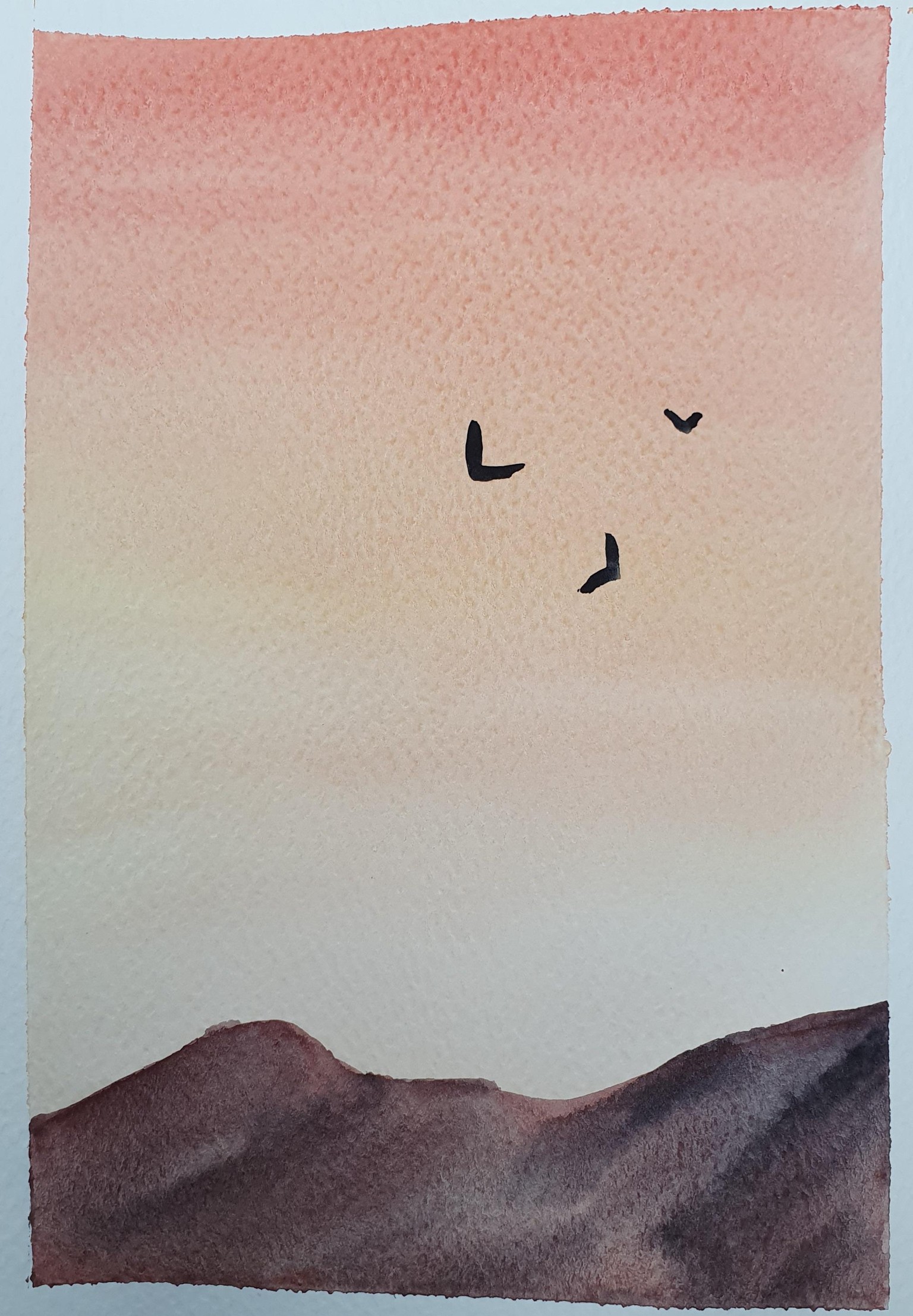 evening sky - image 1 - student project