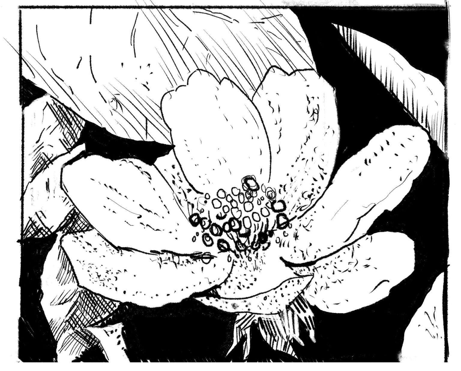Drawing Exercises - image 9 - student project