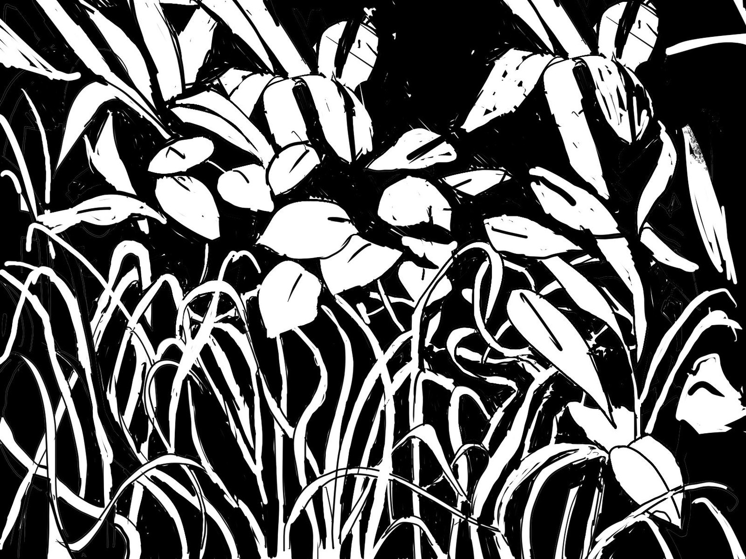 Drawing Exercises - image 5 - student project