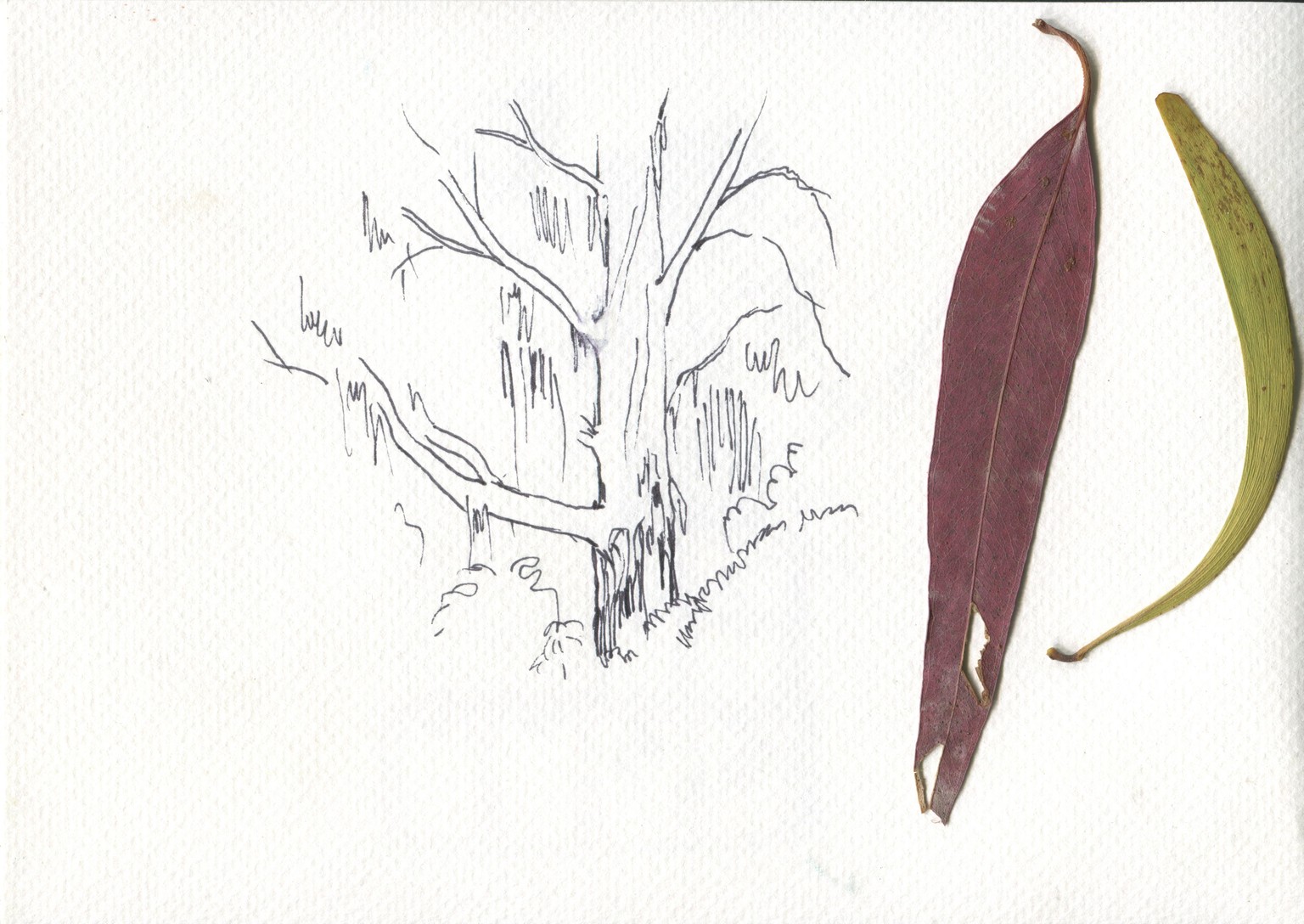 My three sketches! - image 1 - student project