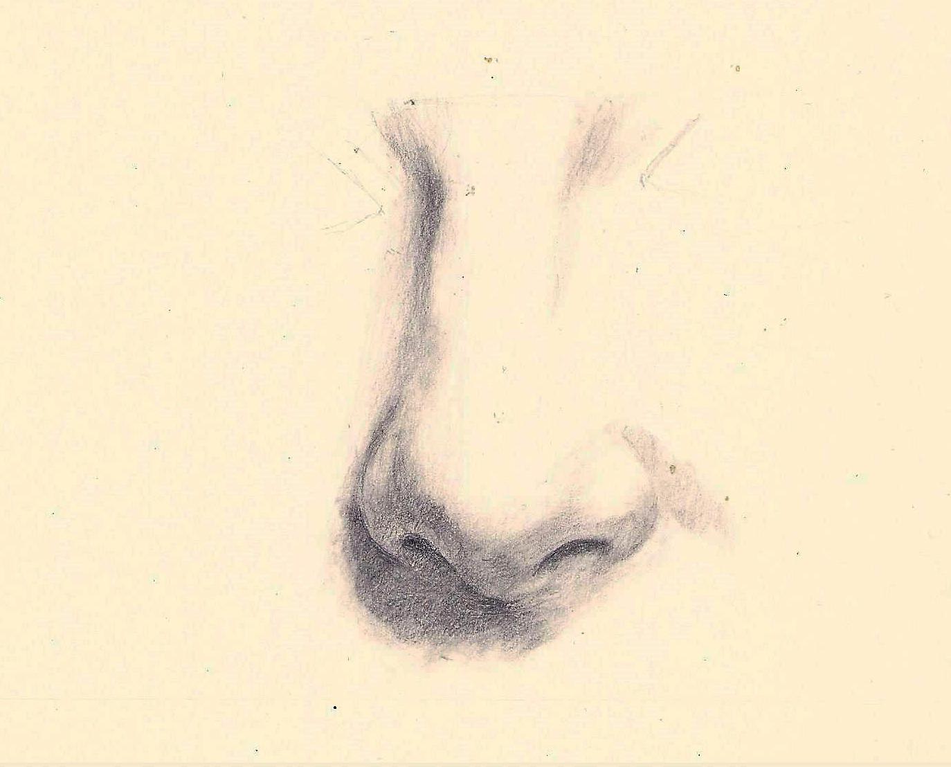 portrait fundamentals - image 5 - student project