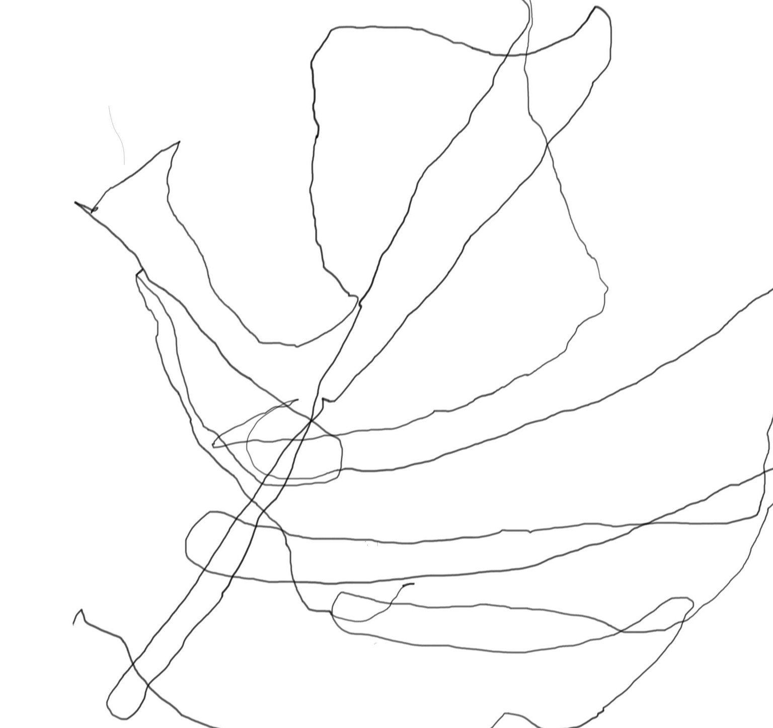 3 exercises - image 2 - student project