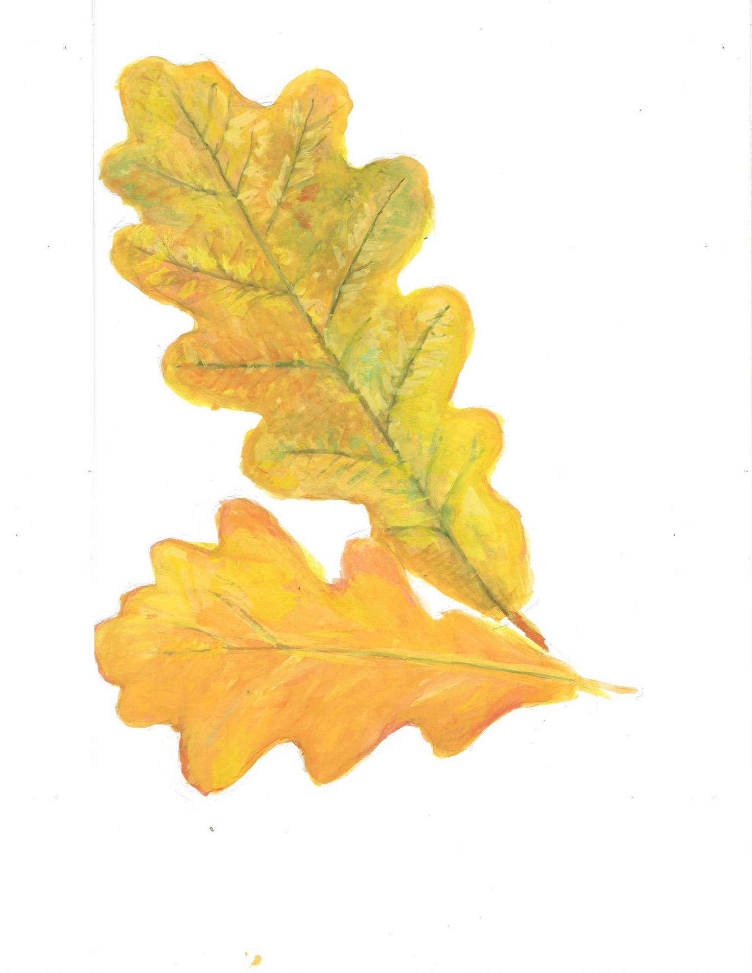 gouache projects - image 2 - student project