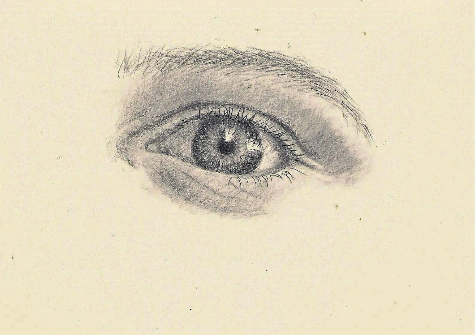 portrait fundamentals - image 6 - student project