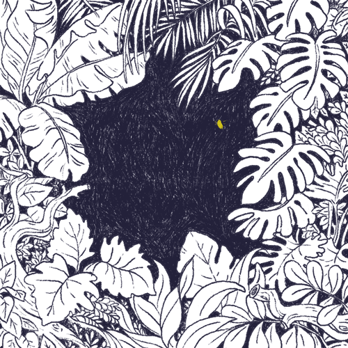 Arcade and... Jungle Boy! - image 1 - student project
