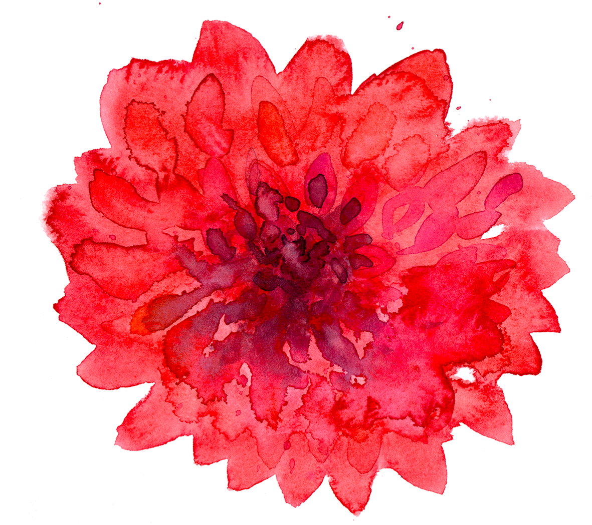 Dahlias Painterly style - image 1 - student project