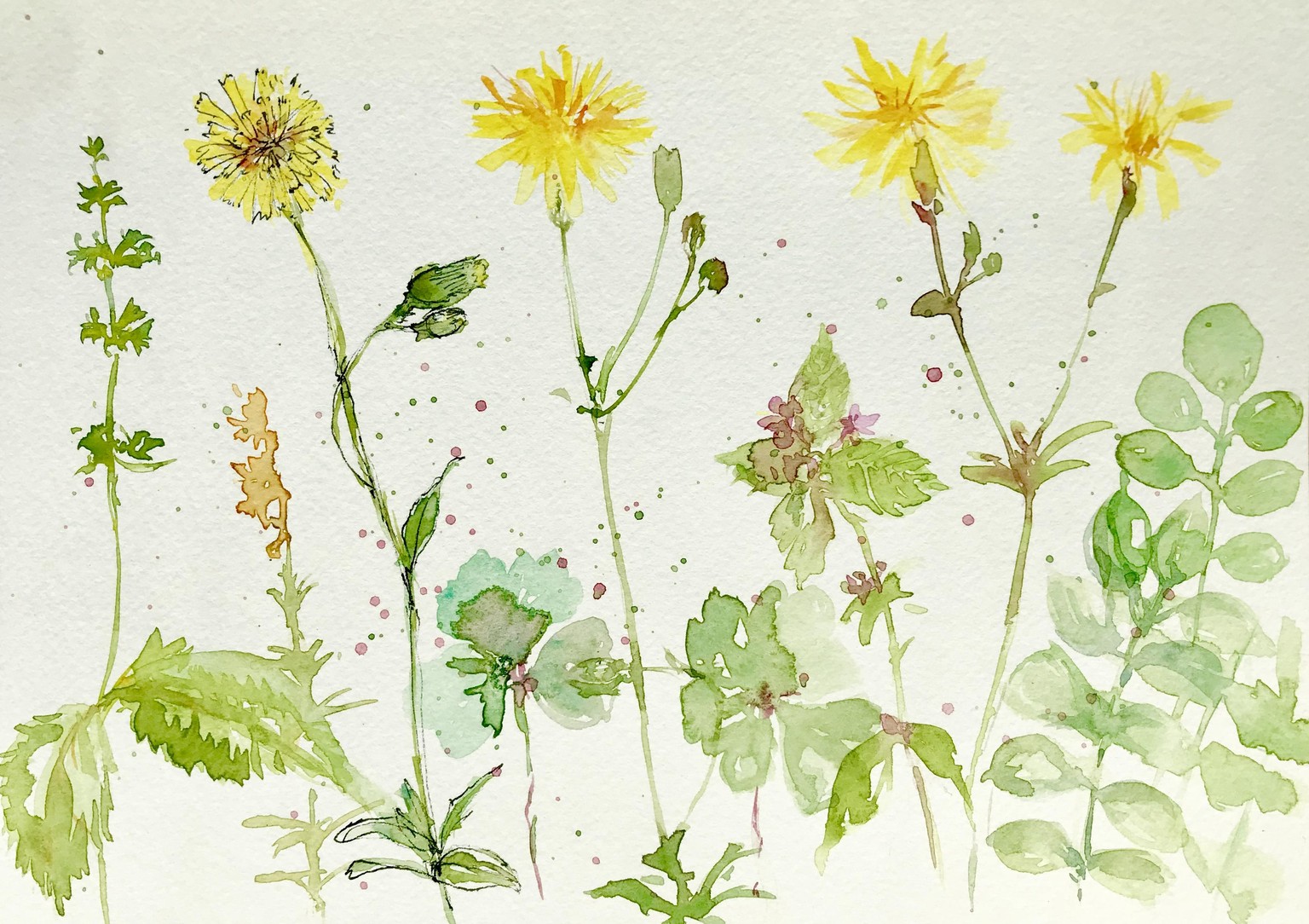Wild flowers... and arrangements - image 2 - student project