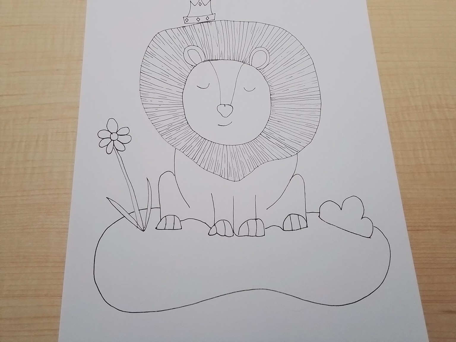 Leo the Lion - image 1 - student project