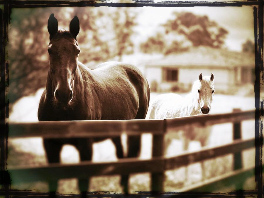 Photographic Composition – The Essential Part of Photography - image 1 - student project