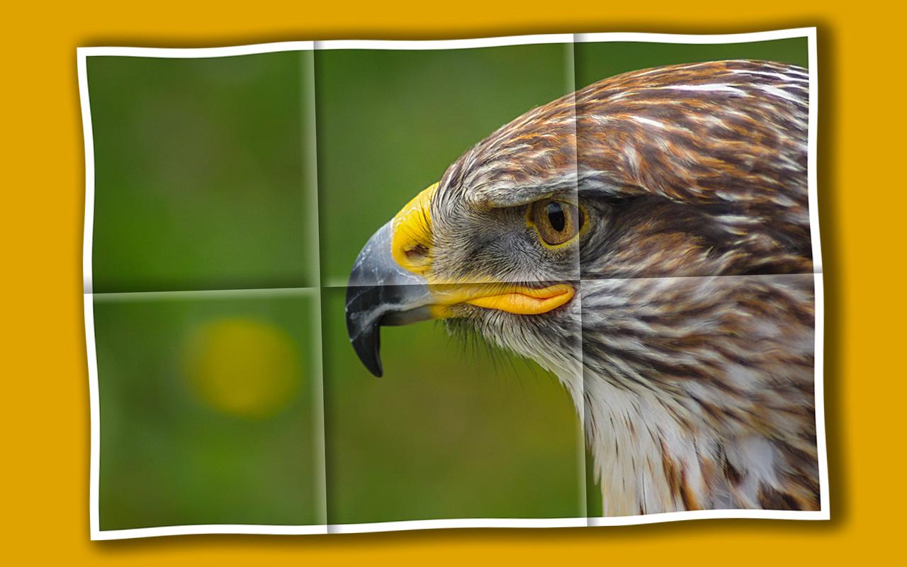 Folded Photo Effect in Photoshop - image 1 - student project