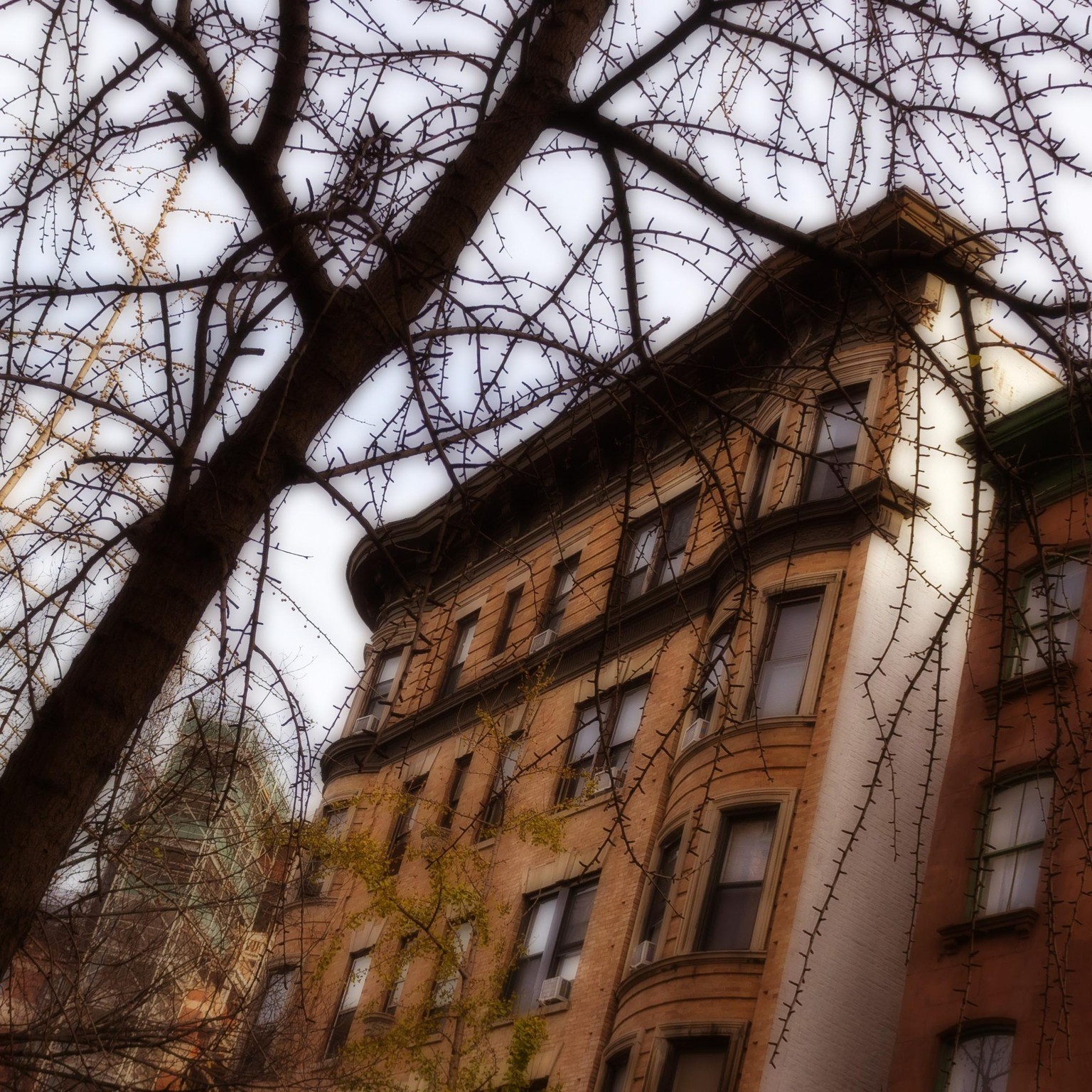 Photo effects - image 1 - student project