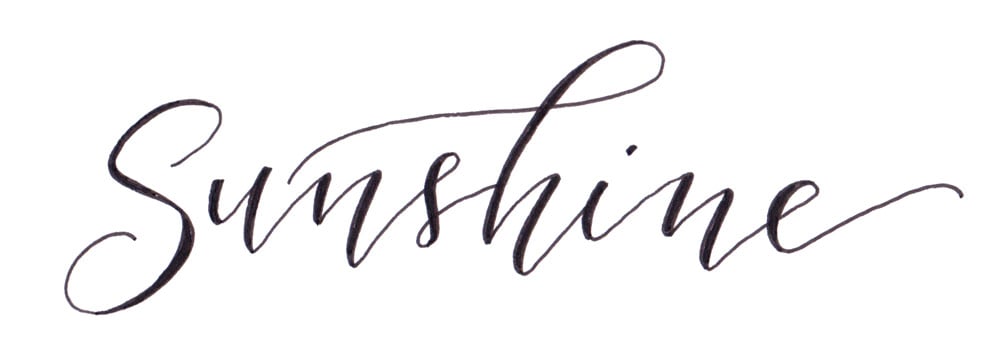 Sample Project: Sunshine - image 5 - student project