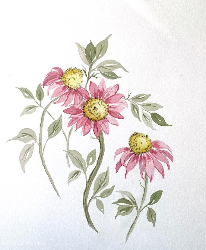 Loose Coneflowers - image 1 - student project