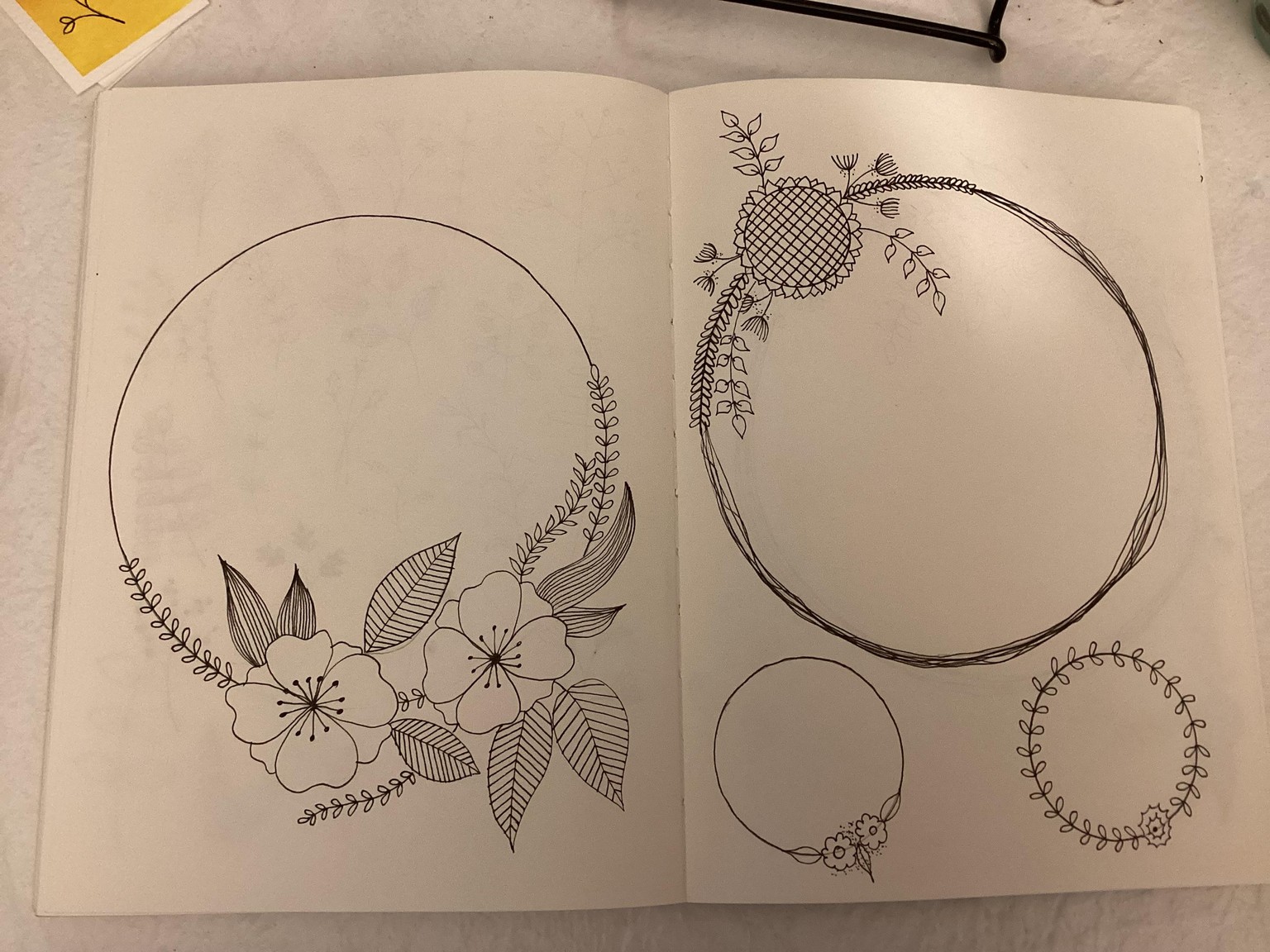 Botanical line drawings - image 1 - student project