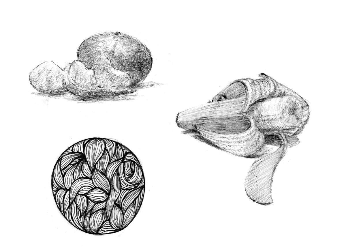 Project: Ballpoint Pen Drawings - image 1 - student project