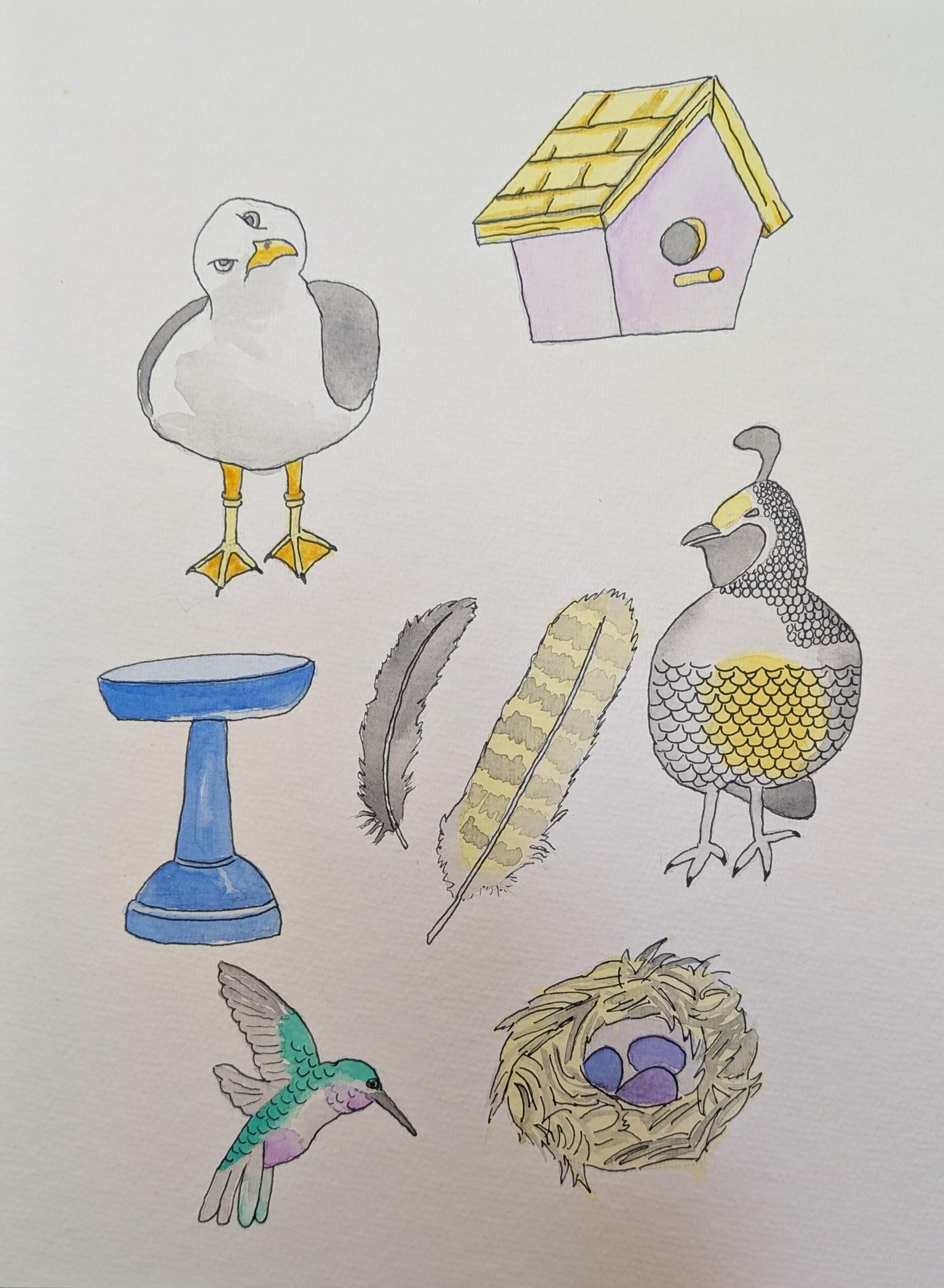 Birds Theme Illustrations - image 1 - student project