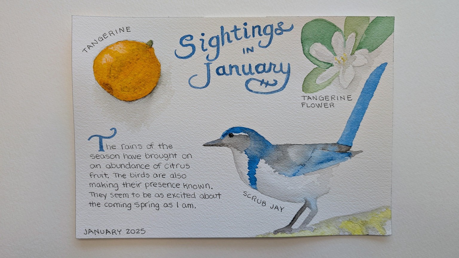 Nature Journal - image 1 - student project