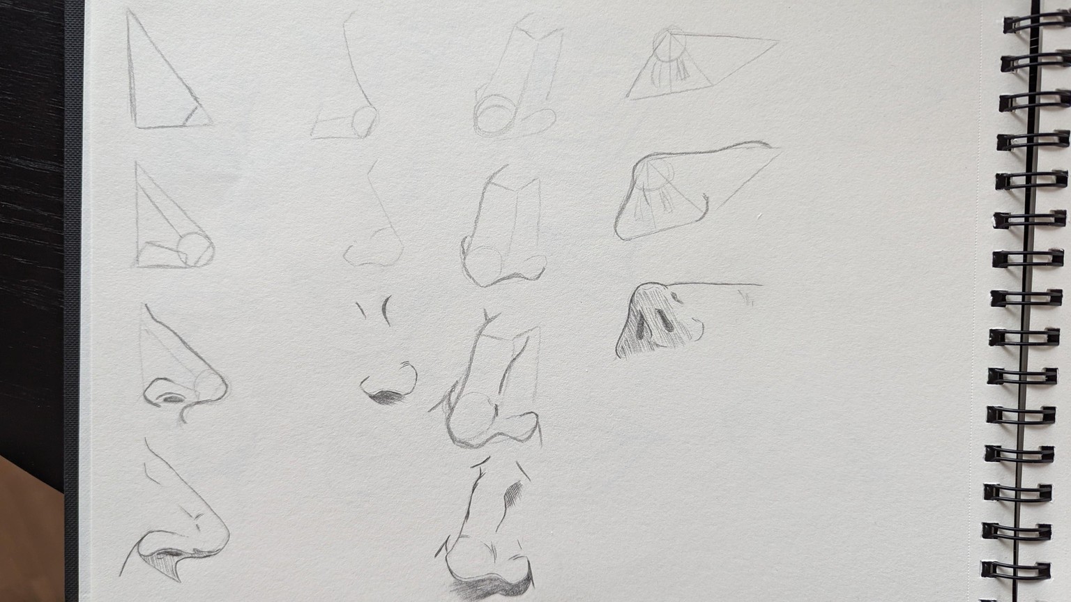 Drawing Nose - image 2 - student project