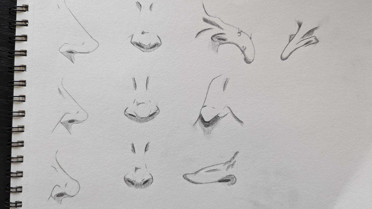 Drawing Nose - image 3 - student project