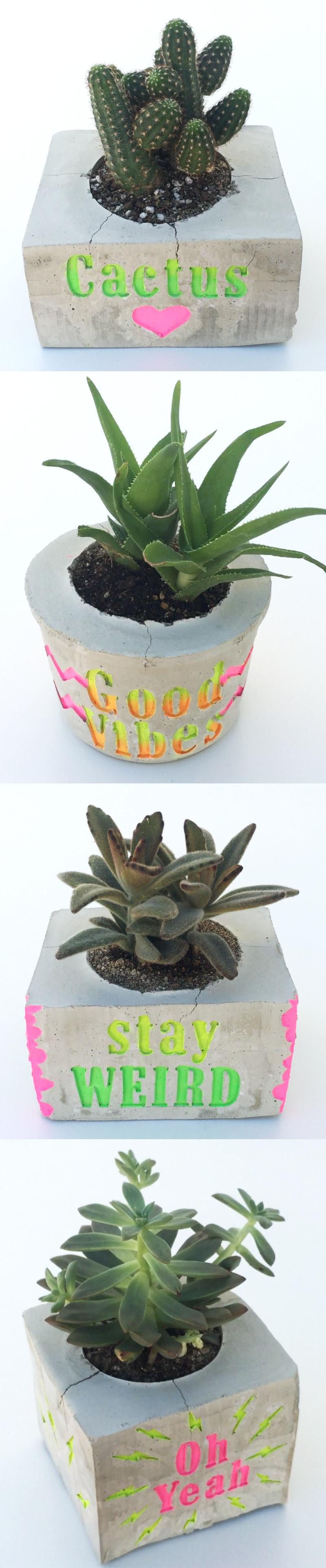 DIY: Make a Cement Planter & Engrave a Personalized Message (SAMPLE PROJECT) - image 7 - student project