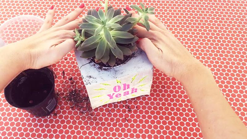 DIY: Make a Cement Planter & Engrave a Personalized Message (SAMPLE PROJECT) - image 6 - student project