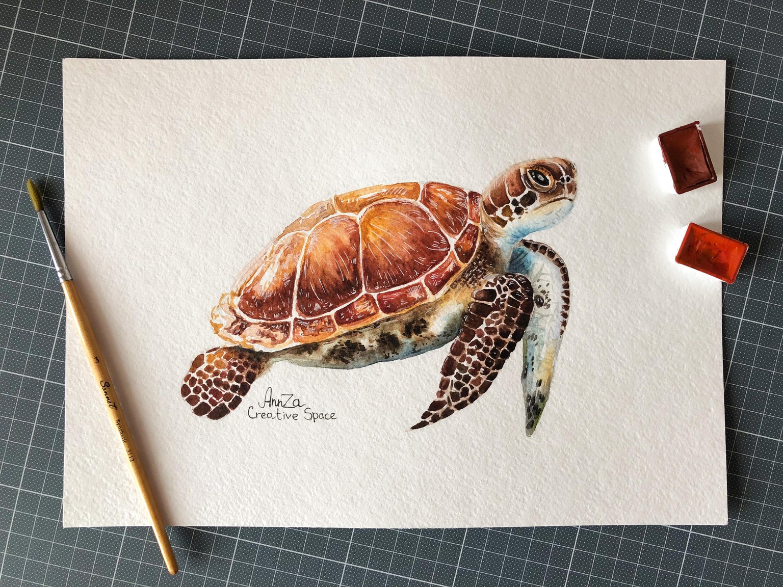 A Sea Turtle - image 1 - student project