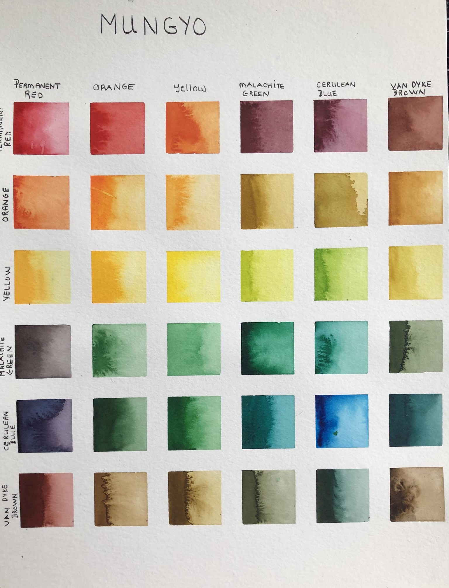 Mungo cohesive palette - image 1 - student project