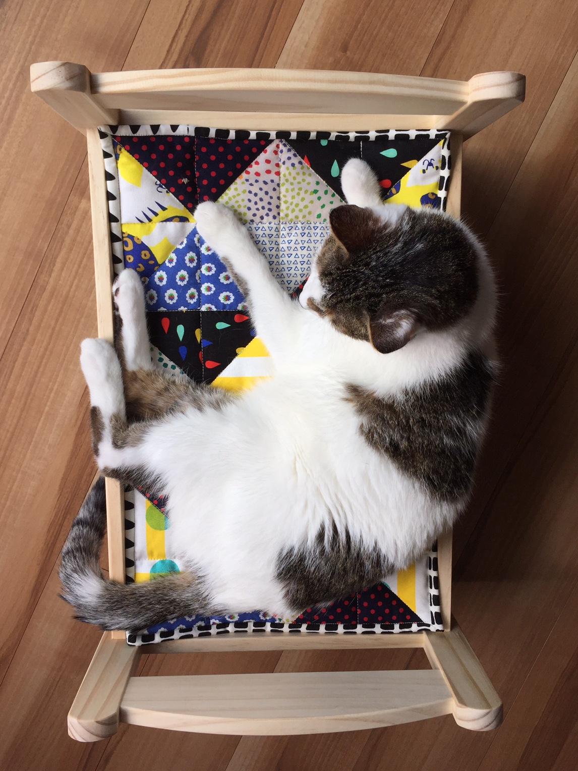 Cat Bed Quilt - image 5 - student project