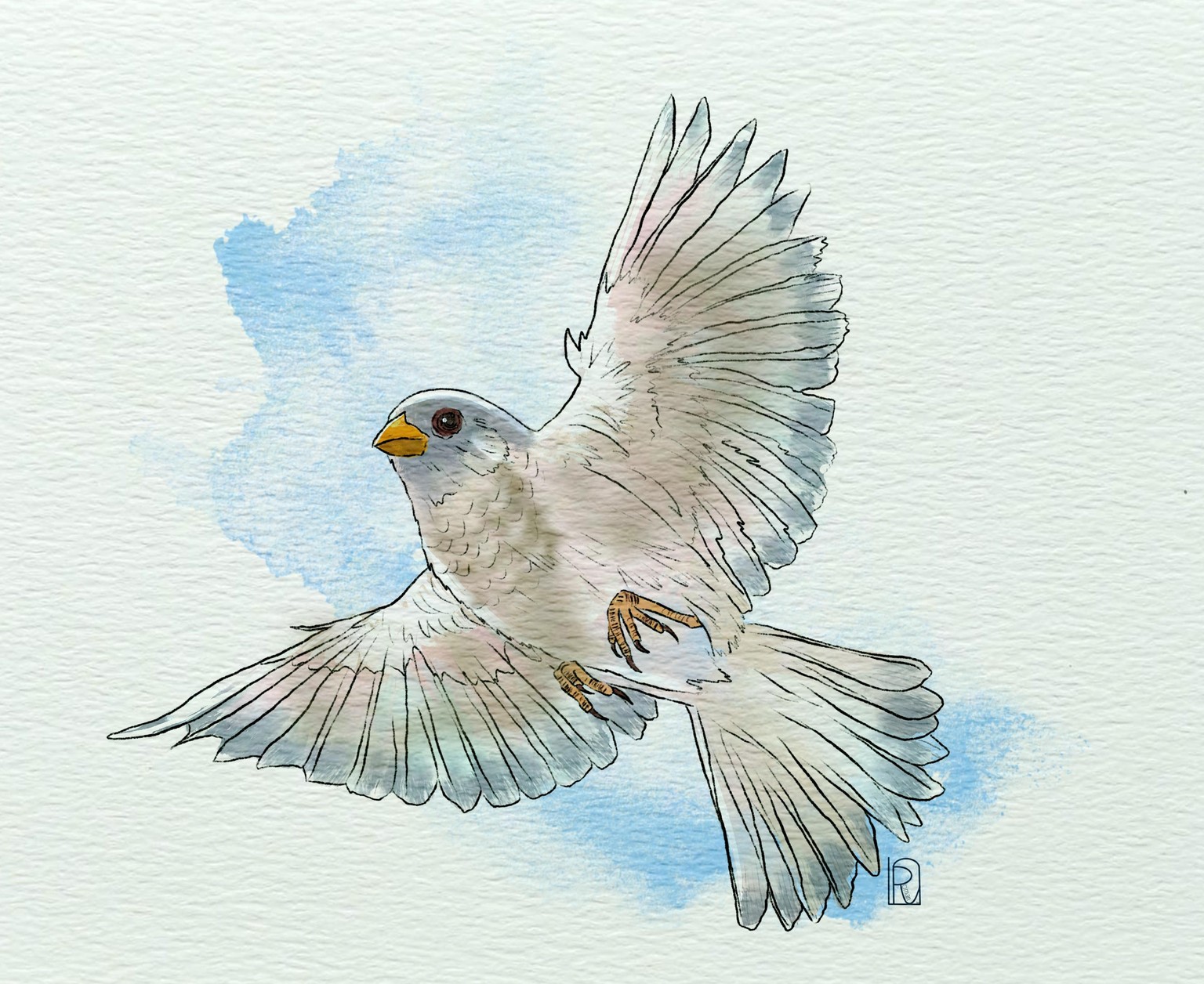 Fly away - image 1 - student project