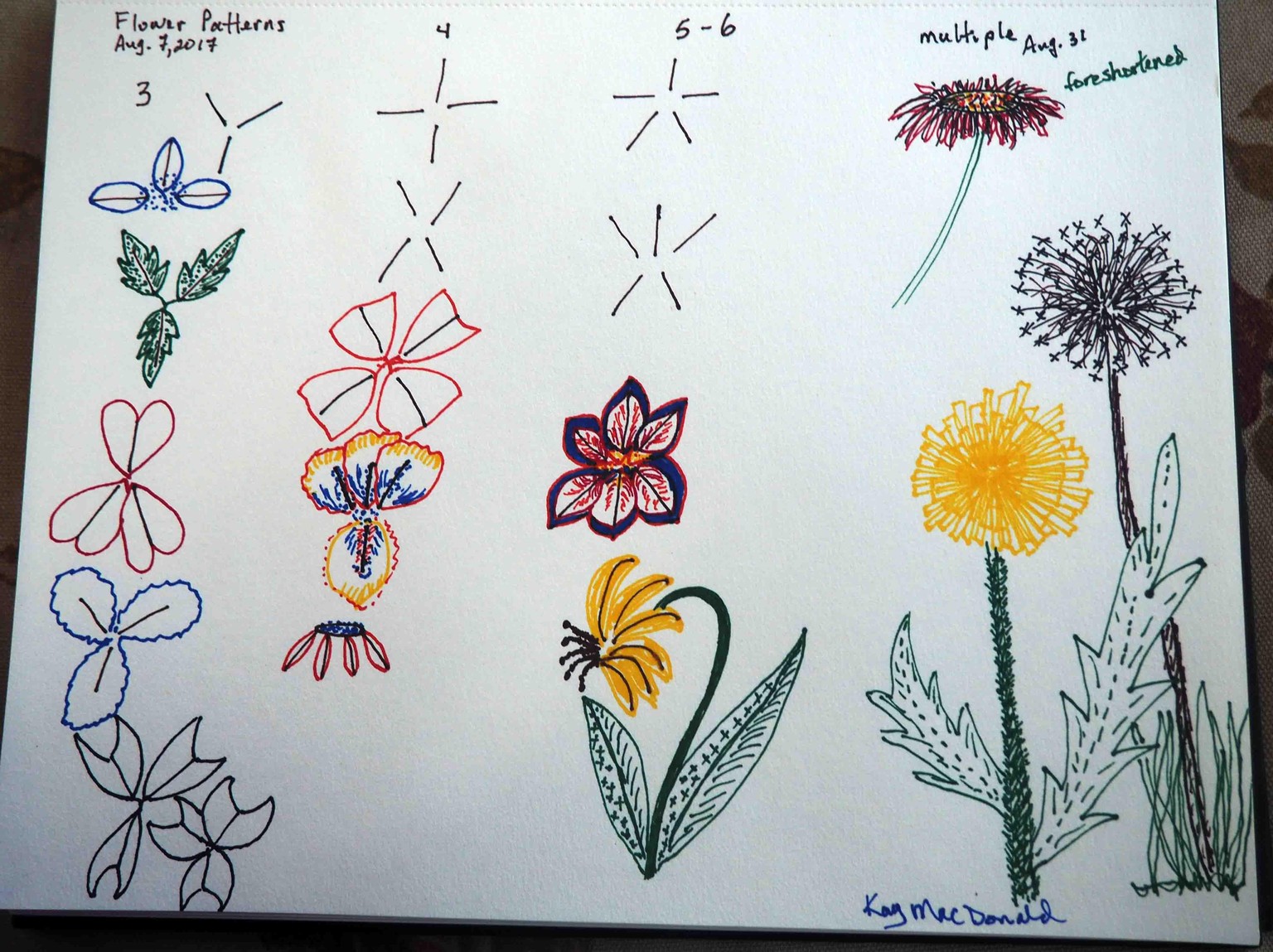 Happy Flowers - image 5 - student project