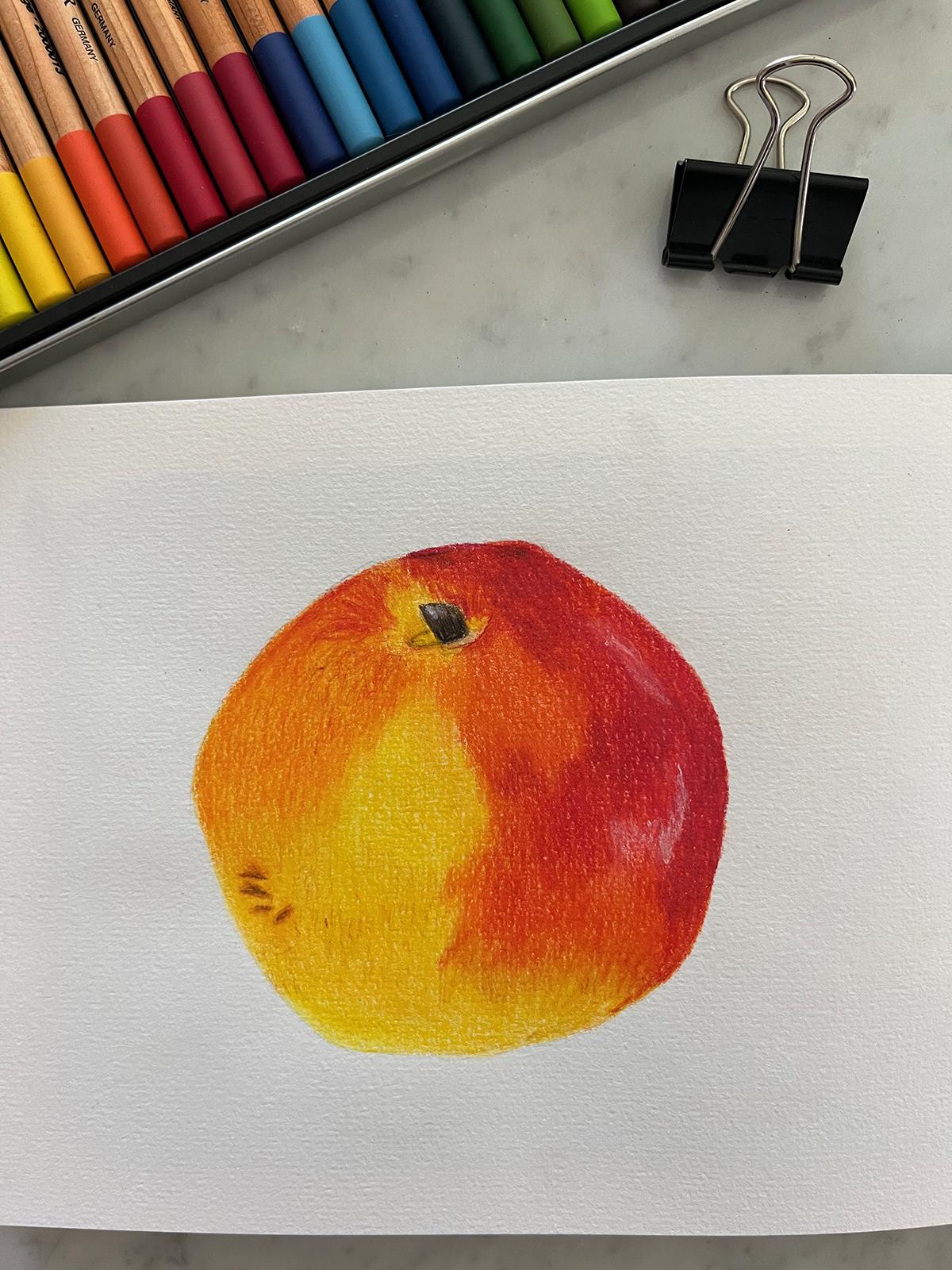 Nectarine - image 1 - student project