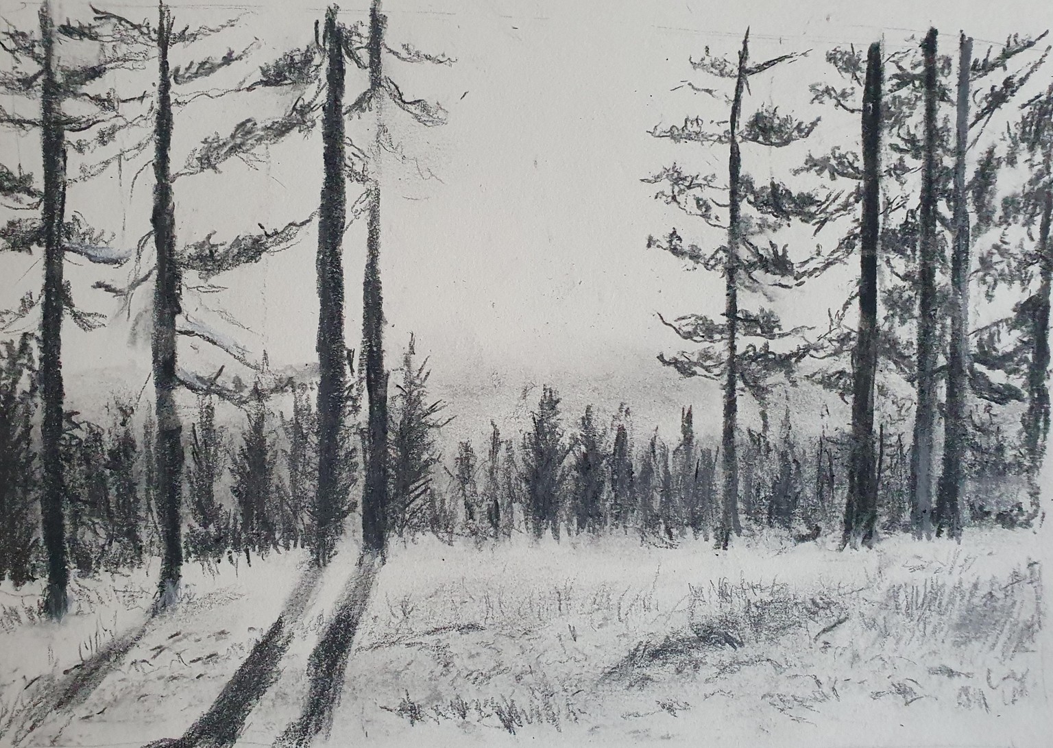 Woods, a sea drafts - image 1 - student project