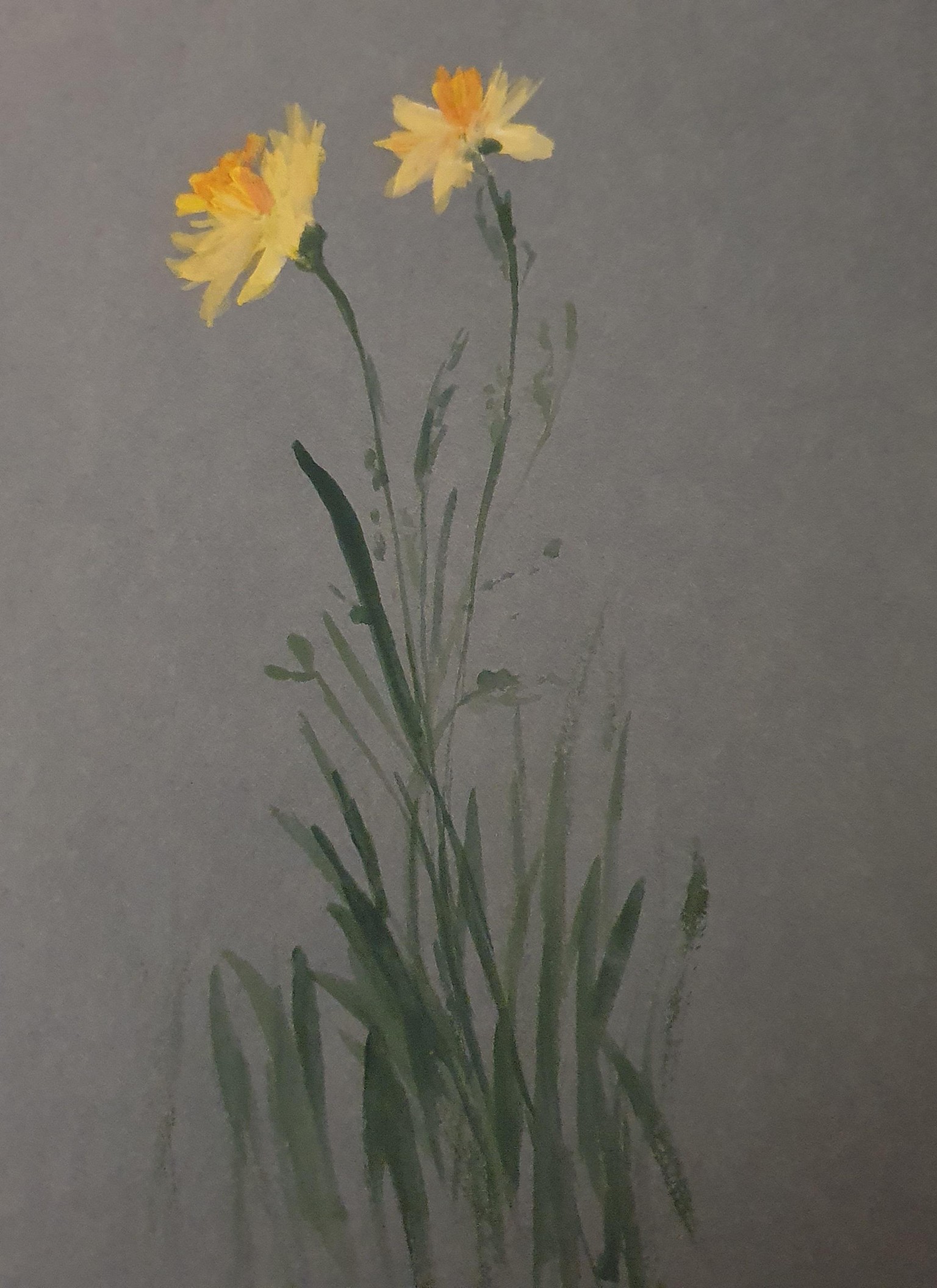 Wild flowers w gouache :) - image 2 - student project